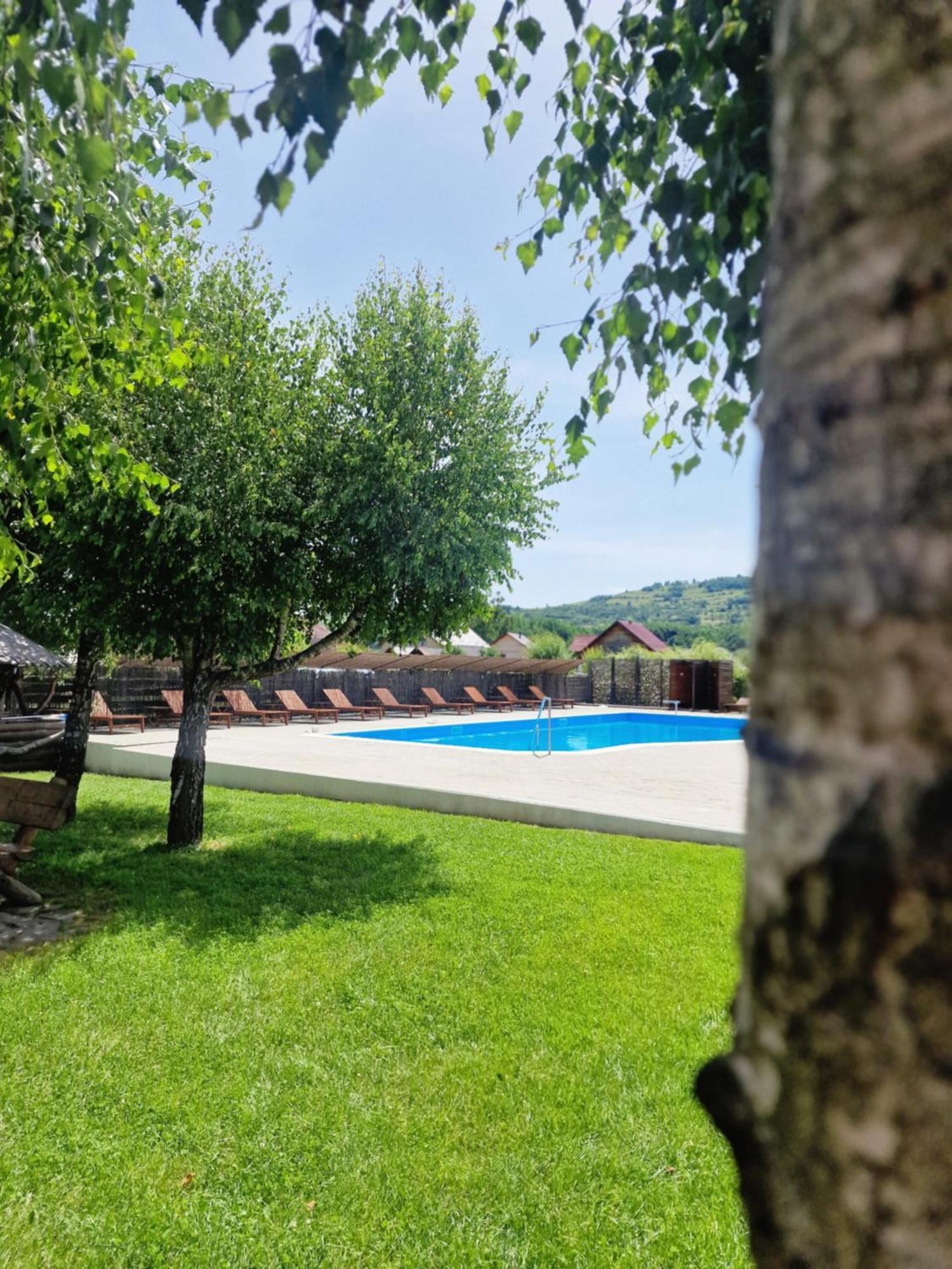 Casa Tomsa Bed & Breakfast Rozavlea Exterior photo